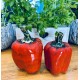 Ogrodowa dekoracja -Papryki,Papryka.www.alimar24.pl