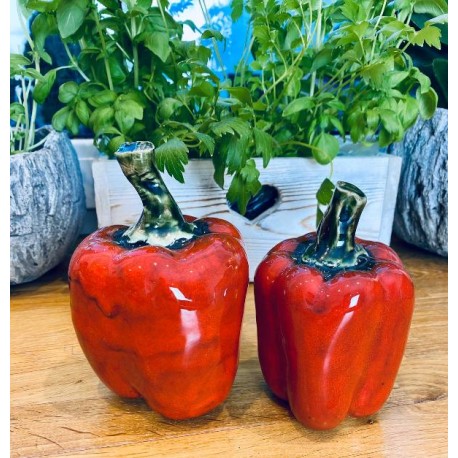 Ogrodowa dekoracja -Papryki,Papryka.www.alimar24.pl