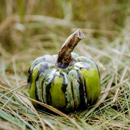 Dekoracja do domu i ogrodu. Dynia zielona mała. www.alimar24.pl