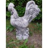 Kogut Kogucik Figurka ogrodowa betonowa