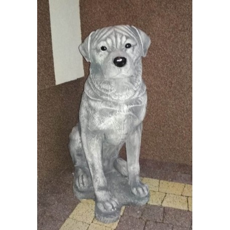 Pies Rottweiler Figurka ogrodowa betonowa