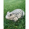 Żaba Figurka ogrodowa betonowa dekoracyjna
