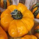 Dekoracja do domu i ogrodu. Dynia pomarańczowa Duża. www.alimar24.pl