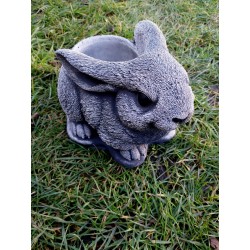 Zajączek Króliczek z osłonką na doniczkę