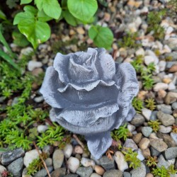 Róża, róże betonowy kwiat róży do ogrodu