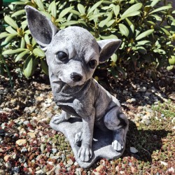 Chihuahua betonowa figurka ogrodowa