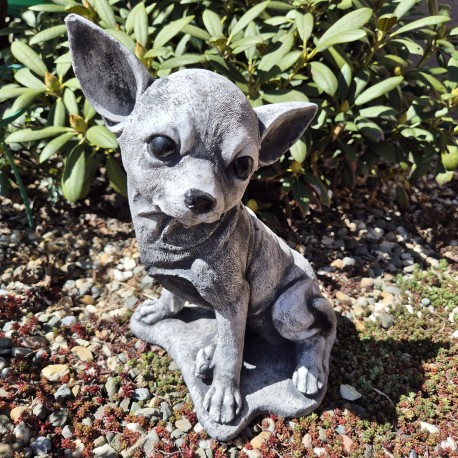 Chihuahua betonowa figurka ogrodowa
